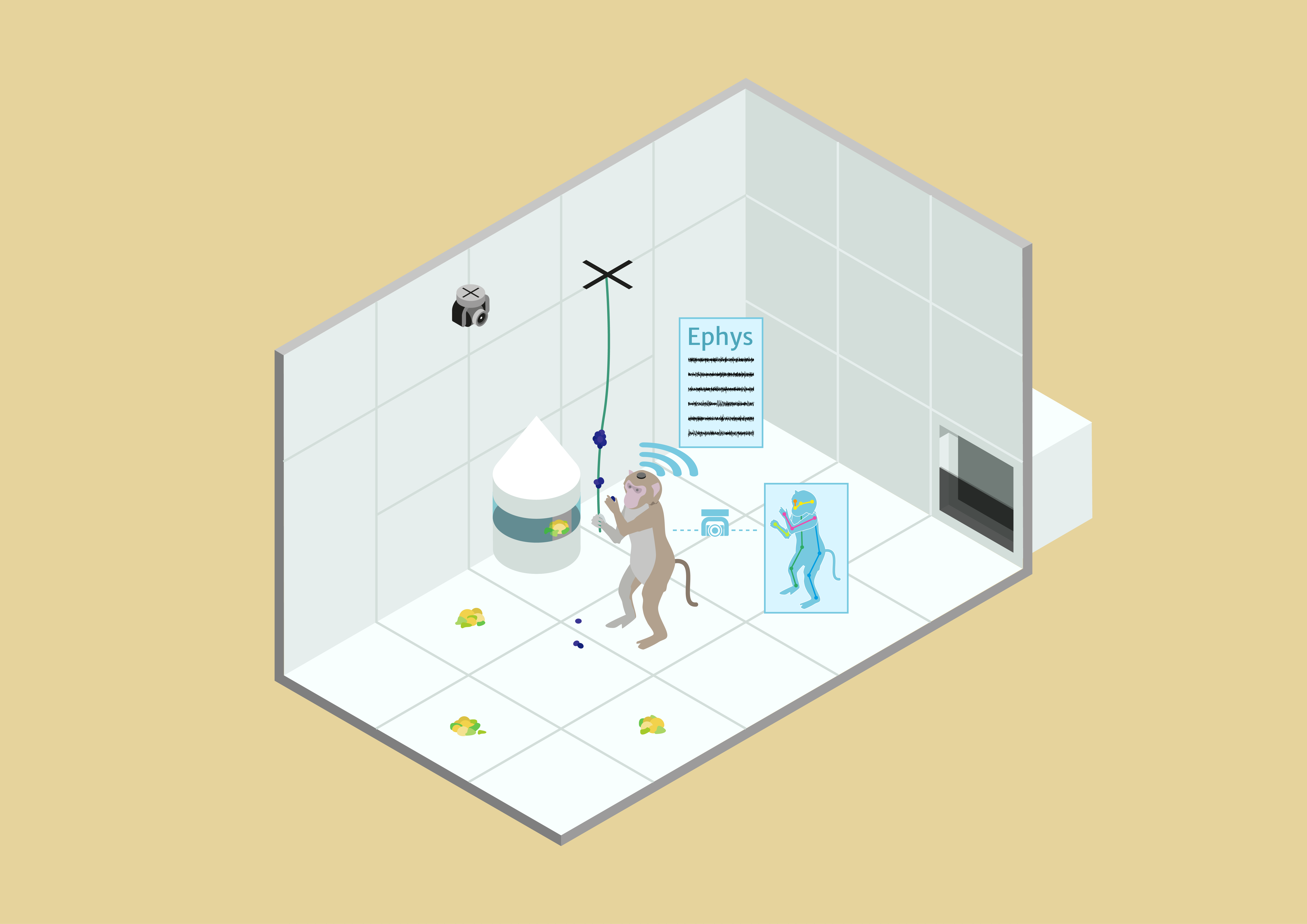 Illustration – Isometrische Projektion